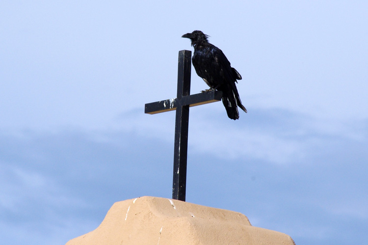 Raven on a cross