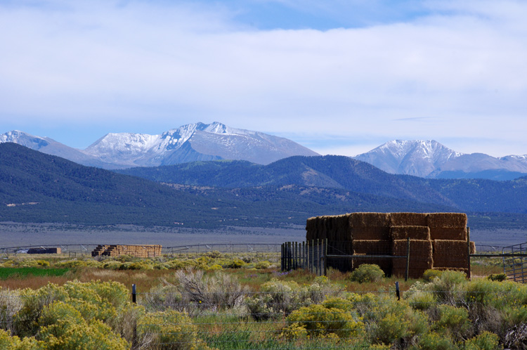 Colorado snow and hay...