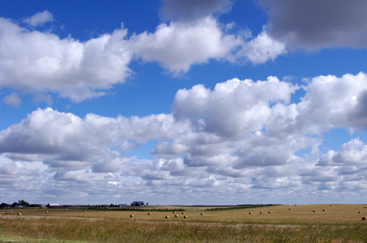 Prairie scene near Valentine, NE