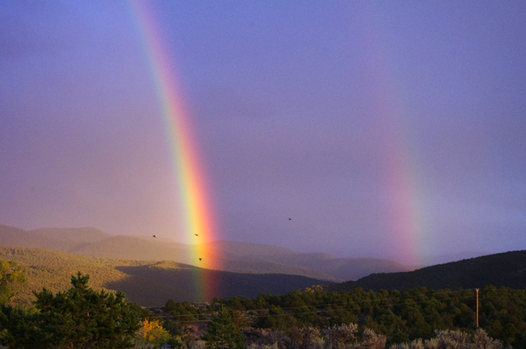 magpies and double rainbow