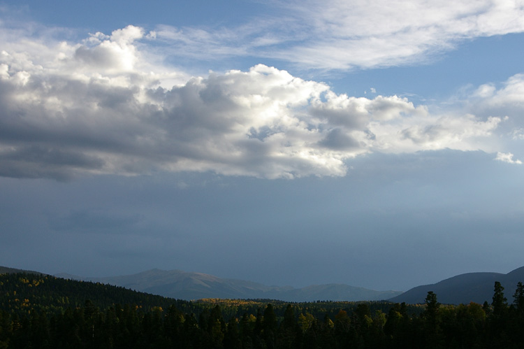 Evening sun east of Bobcat Pass near Red River, NM