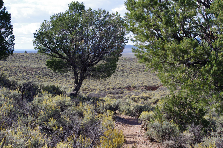 Rift Valley Trail at Taos Valley Overlook