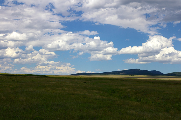 Santa Fe Trail ruts at Fort Union