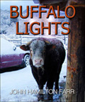 BUFFALO LIGHTS: Revised Edition